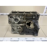 Блок двигателя Seat Seat Leon (1P1) 2005-2013 06F103101, BVY
