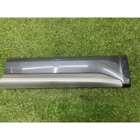 Накладка молдинг двери Audi Q5 FY B5 NY 2020 80a853969a