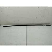 Молдинг двери передней правой Volkswagen Passat B6 2005 3C0853516