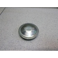 Крышка ступицы Renault Logan (2005 - 2014) 402348364R