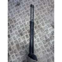 Амортизатор крышки багажника (3-5 двери) Toyota Corolla VERSO 2 2007 689600f012