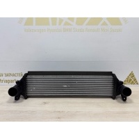 Радиатор интеркулера Exeed TXL M32T 2020-2023 302000507AA