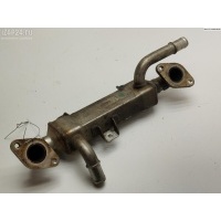 Охладитель отработанных газов Ford Galaxy (2000-2006) 2005 038131513L
