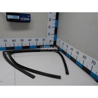 Уплотнитель стекла двери Ford C-MAX (2003 - 2010) 1672816