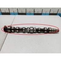 Распредвал впускной VAG Caddy III (2004 - 2015) 03C109101EC