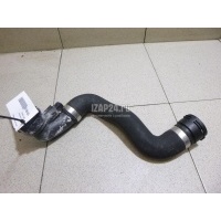 Шланг системы охлаждения BMW X3 E83 (2004 - 2010) 17123413819