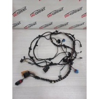 Проводка двери багажника Volkswagen Tiguan 2 2019 5NA971147EB, 5NA971147