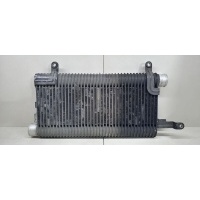 Интеркулер Mitsubishi Galant 8 1999 MR266661