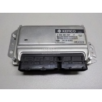 Блок управления двигателем Hyundai-Kia Picanto (2004 - 2011) 3911002055