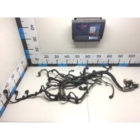 Проводка (коса) Citroen-Peugeot 207 (2006 - 2013) 6585R8