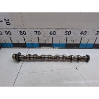 Распредвал впускной VAG Golf Plus (2005 - 2014) 06D109101AL