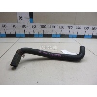Патрубок радиатора Nissan Note (E11) (2006 - 2013) 21503AX500