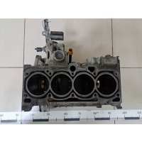 Блок двигателя Skoda Skoda Octavia (A5 1Z-) 2004-2013 06B103011AP
