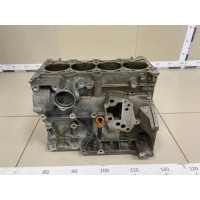 Блок двигателя Audi Audi A3 (8P) 2004-2013 06F100032N, BLR
