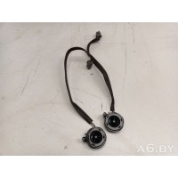 Динамик высокочастотный (пищалка) Volvo C30 2009 30752085