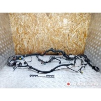 Проводка двигателя Peugeot 407 2009 9658249280,9657923780