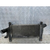 Интеркулер Nissan Pathfinder (R51M) 2004-2013 Внедорожник 2008 14461EB360