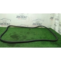 уплотнитель двери BMW X5 E70 2007-2013 51767333813