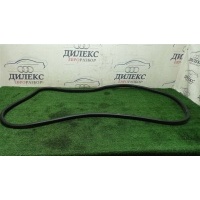уплотнитель двери BMW X5 E70 2007-2013 51767333814