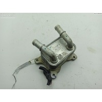 Теплообменник Renault Kangoo II (2007-2021) 2018 213052032R