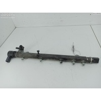 Рампа (рейка) топливная Mercedes W203 (C) 2002 6110700395