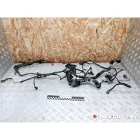 Проводка двигателя Citroen C5 2006 9633466480,9648714180