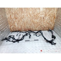 Проводка двигателя Nissan Primera P12 2005 24011AV070