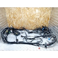 Проводка двигателя Nissan Primera P12 2006 24382AV715,71547003TA,7184303030,24720BV000,24012BA322,7184303130,247270BV001