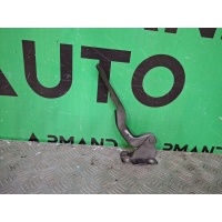 петля капота Chery Tiggo 7 Pro T1E 2020-нв J268402030DY, J268402030, 8
