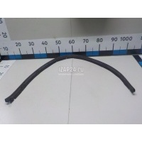 Уплотнитель (наружный) Toyota Corolla E15 (2006 - 2013) 5339512050