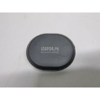 Заглушка Toyota GS 300/400/430 (2005 - 2011) 9095001908
