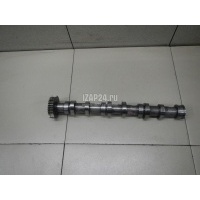 Распредвал выпускной VAG A4 [B7] (2005 - 2007) 059109009BL