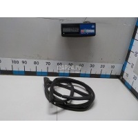 Уплотнитель двери Hyundai-Kia Santa Fe (CM) (2006 - 2012) 821302B000