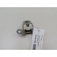 Петля двери Nissan Qashqai (J10) (2006 - 2014) 824202F030