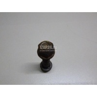 Болт переднего амортизатора Nissan Tiida (C11) (2007 - 2014) 40056EN01B