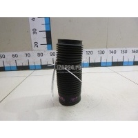 Пыльник переднего амортизатора Ford Transit (2006 - 2013) 1434150