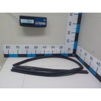 Уплотнитель стекла двери Nissan EX/QX50 (J50) (2008 - 2017) 803301BA0A