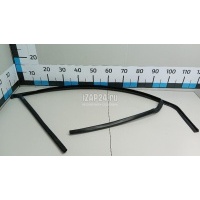 Уплотнитель стекла двери Ford Kuga (2008 - 2012) 1677494