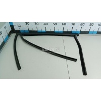 Уплотнитель стекла двери Ford Kuga (2008 - 2012) 1703932