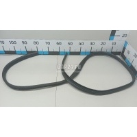 Уплотнитель стекла двери Ford Kuga (2008 - 2012) 1548243