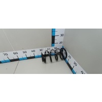 Пружина передняя Ford Kuga (2008 - 2012) 1683598