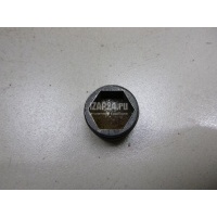Пробка маслосливная дифференциала VAG Octavia (A5 1Z-) (2004 - 2013) WHT001937