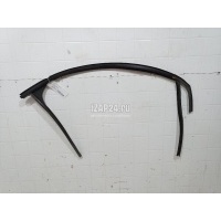 Уплотнитель стекла двери Ford Focus II (2008 - 2011) 1685043