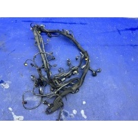 Проводка двигателя Mercedes-benz S350 W221 2011 A2761504820