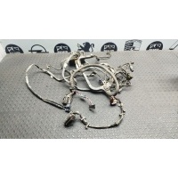 Проводка моторная Mercedes C/W202 1993-2001 A2024407606
