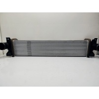 интеркулер Jaecoo J8 302000800AA
