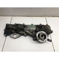 Радиатор масляный Ford Ranger (2006 - 2012) 2M346714AB