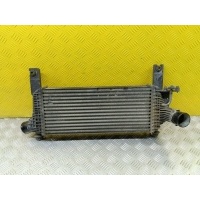 Интеркулер Nissan Pathfinder (R51M) 2004-2013 2010 144615X00A
