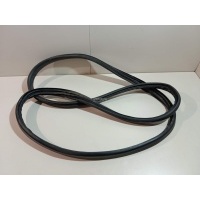 Уплотнитель (внутри) Renault Megane III (2009 - 2016) 808320004R