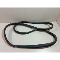 Уплотнитель двери Renault Fluence (2010 - 2017) 769240022R